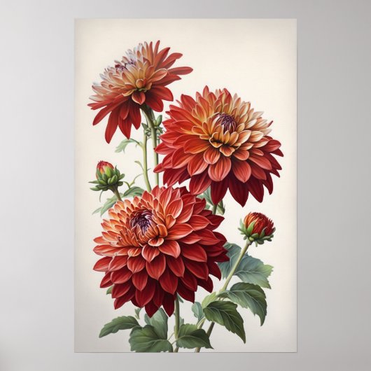 Red Dahlias Blume Art Print Poster (Vorne)