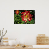 Red Dahlias Poster (Küche)