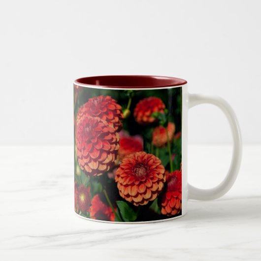 Red Dahlias Tasse (Rechts)