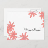 Red Daisies Änderung der Ankündigung (Vorne/Hinten)