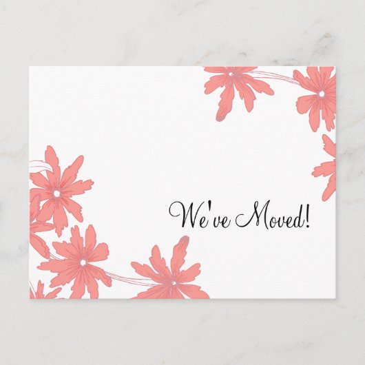 Red Daisies Änderung der Ankündigung (Vorderseite)