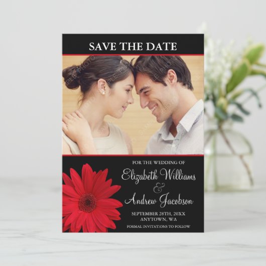 Red Daisy Black Foto Save the Date (Stehend Vorderseite)