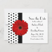 Red Daisy Black Polka Dots Save the Date (Vorderseite)