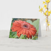 Red Daisy Blume Art Note Card Karte (Gelbe Blume)