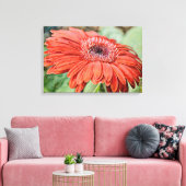 Red Daisy Blume Blumenstrauß Art Canvas Print Leinwanddruck (Insitu (Wohnzimmer))