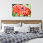 Red Daisy Blume Blumenstrauß Art Canvas Print Leinwanddruck (Insitu (Schlafzimmer))