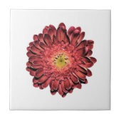 Red Daisy Blume Fliese (Vorderseite)