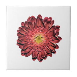 Red Daisy Blume Fliese