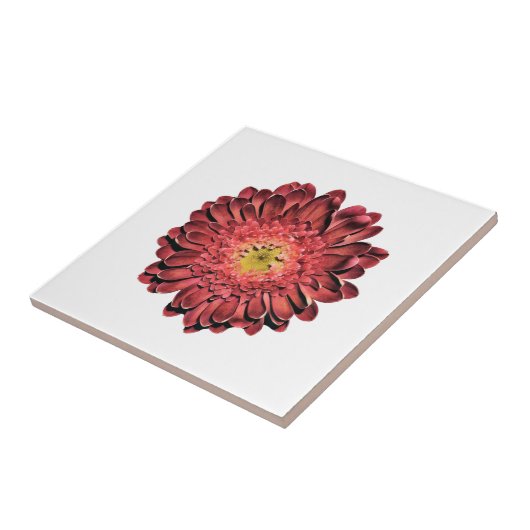 Red Daisy Blume Fliese (Seite)