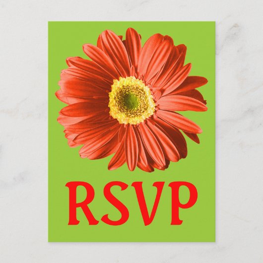 Red Daisy Blume UAWG oder benutzerdefiniert Einladungspostkarte (Vorderseite)
