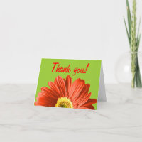 Red Daisy Blume Vielen Dank oder Gewohnheit