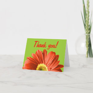 Red Daisy Blume Vielen Dank oder Gewohnheit Dankeskarte