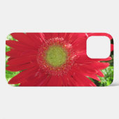 Red Daisy Floral Fotografy Case-Mate iPhone Hülle (Rückseite (Horizontal))