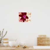 Red Daisy Foto Malerei Blume Kunst Poster (Küche)