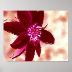 Red Daisy Foto Malerei Blume Kunst Poster