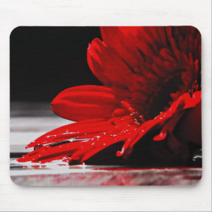 Red Daisy Gerbera Blume Mousepad