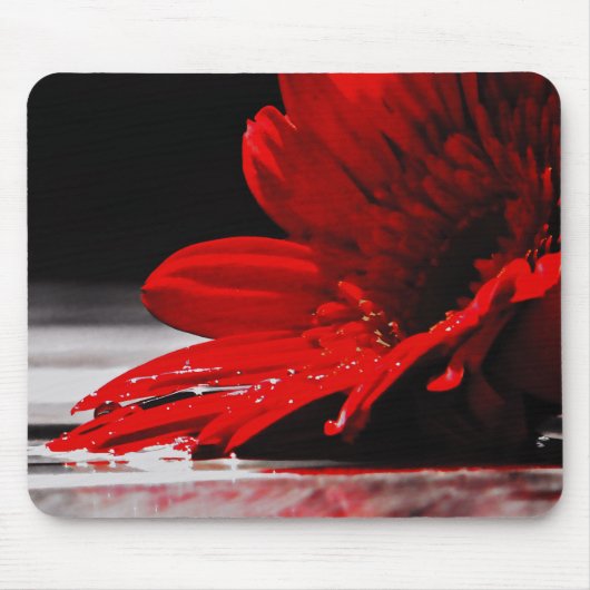 Red Daisy Gerbera Blume Mousepad (Vorne)