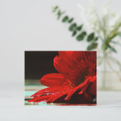 Red Daisy Gerbera Blume Postkarte (Stehend Vorderseite)