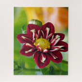 Red Daisy Jigsaw Puzzle (Vertikal)