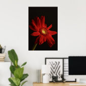Red Daisy {Macro} Poster (Heimbüro)