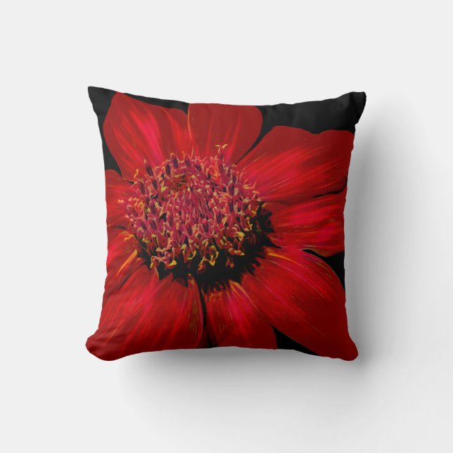 Red Daisy mit einem Glühen Kissen (Vorderseite)