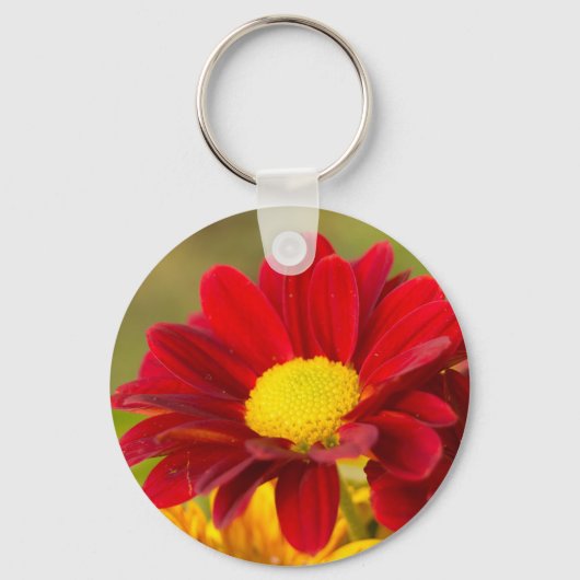 Red Daisy Schlüsselanhänger (Vorderseite)