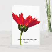 Red Daisy Simplicity Jeder Anlass Gruß Karte (Rückseite)