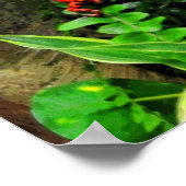 Red Dart Frog CB Poster (Ecke)