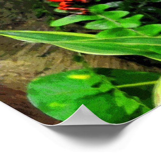 Red Dart Frog CB Poster (Ecke)