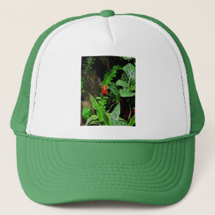 Red Dart Frog CB Truckerkappe