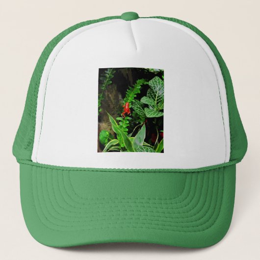 Red Dart Frog CB Truckerkappe (Vorderseite)