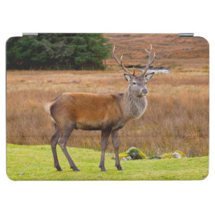 Red Deer Buck   Glen Coe, Schottland iPad Air Hülle