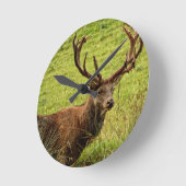 RED DEER DESIGN - EIN FRISCHES AUSSICHTSPEKIMEN! RUNDE WANDUHR (Winkel)