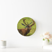 RED DEER DESIGN - EIN FRISCHES AUSSICHTSPEKIMEN! RUNDE WANDUHR (Zuhause)