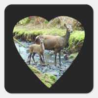 Red Deer Doe and Baby Deer
