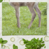 Red Deer Fawn Kitchtuch Geschirrtuch (Gefaltet)