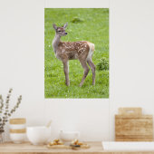 Red Deer Fawn Print Poster (Küche)