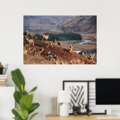 Red Deer in Glen Etive, Highlands, Schottland Poster (Heimbüro)