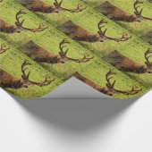 Red Deer Stag Geschenkpapier (Ecke)
