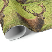 Red Deer Stag Geschenkpapier (Rolleneckpunkt)