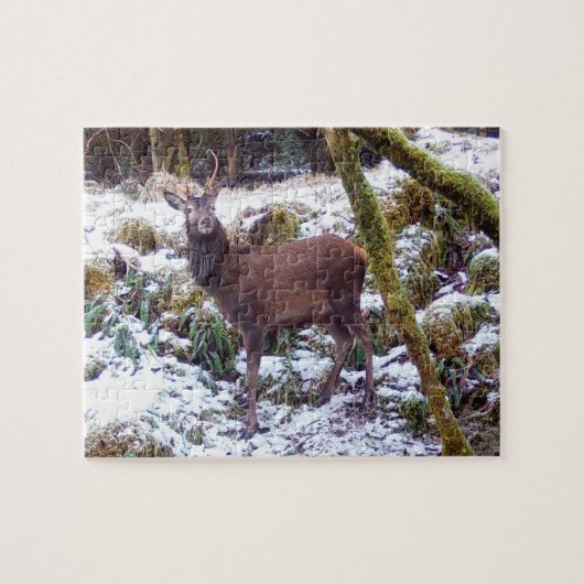 Red Deer Stag im Snow Jigsaw Puzzle (Horizontal)