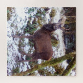 Red Deer Stag im Snow Jigsaw Puzzle (Horizontal)
