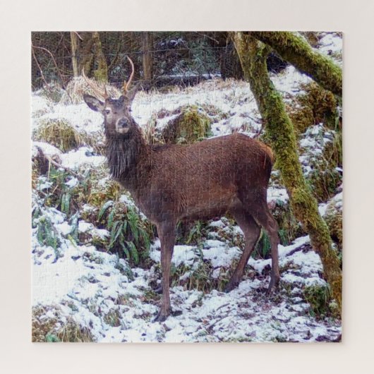 Red Deer Stag im Snow Jigsaw Puzzle (Vertikal)