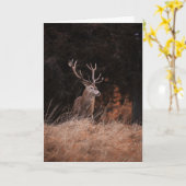 Red Deer Stag Karte (Gelbe Blume)