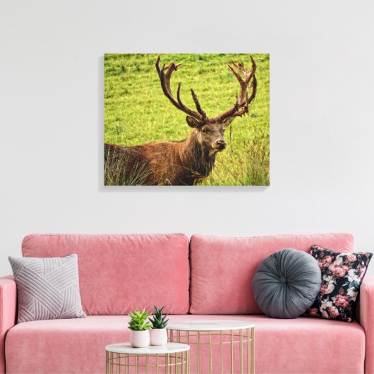Red Deer Stag Leinwanddruck (Insitu (Wohnzimmer))