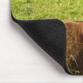 Red Deer Stag Mousepad (Ecke)