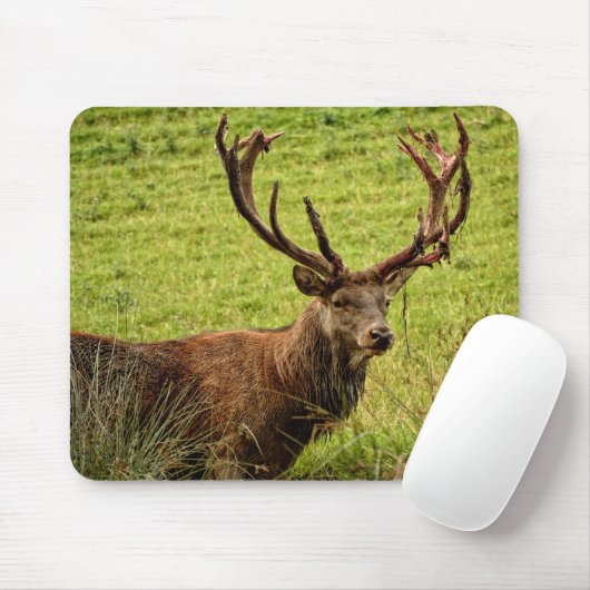Red Deer Stag Mousepad (Mit Mouse)