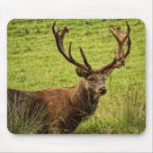 Red Deer Stag Mousepad (Vorne)