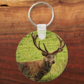 Red Deer Stag Schlüsselanhänger (Vorderseite)