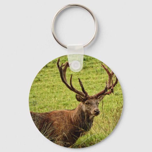 Red Deer Stag Schlüsselanhänger (Vorderseite)